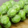 Brussels Sprout: Stick