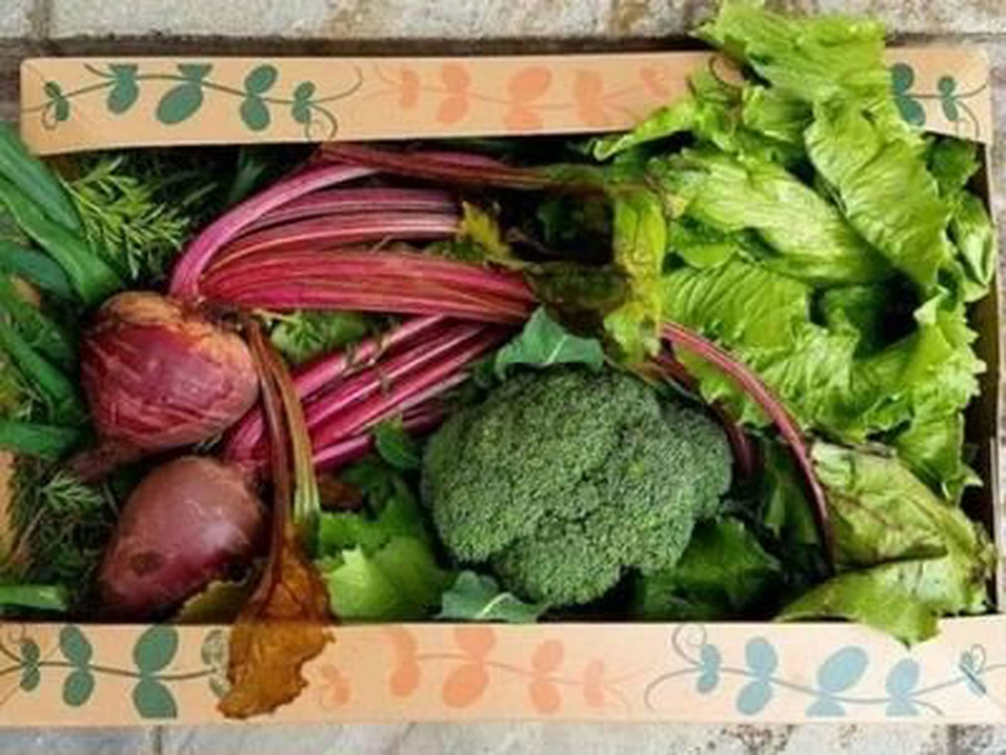 Veg Boxes