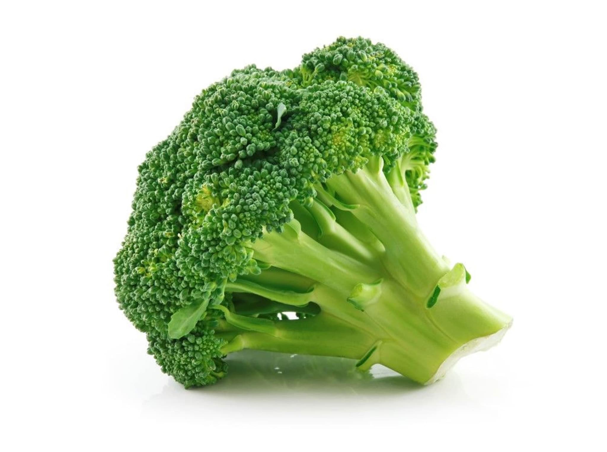 Broccoli